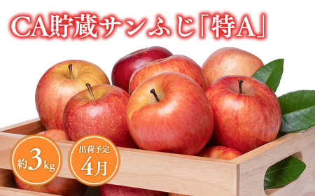 《4月発送》 CA貯蔵サンふじ 約3kg(8～10玉程度)【りんご 森山商店 平川市産 青森りんご 年明け発送 4月 CA 貯蔵 林檎 リンゴ サンふじ ふじ 葉とらず 平川市 青森県】