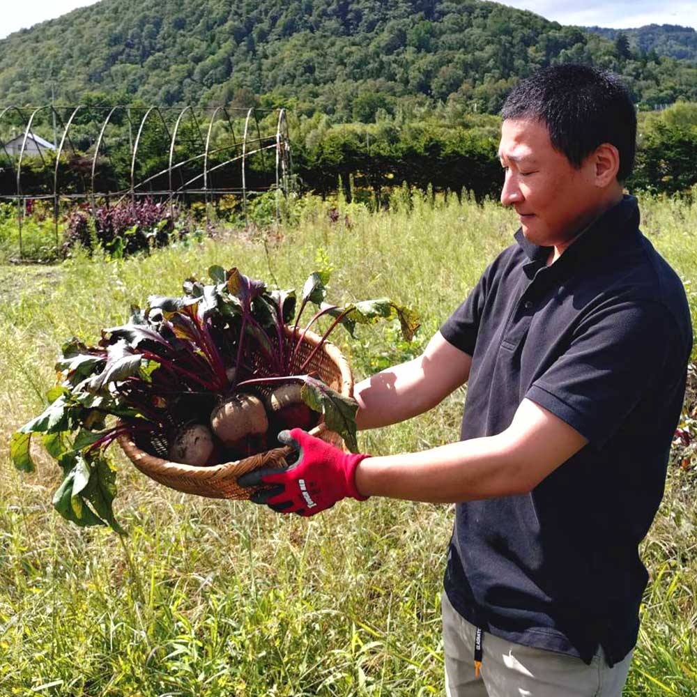 【ふるさと納税】＜選べる内容量＞季節限定 ビーツ（レッドエース） 約2kg / 約3kg / 約4kg ビーツ ビートルート シリンドラ種 野菜 健康野菜 新鮮 ロシア料理 サラダ 冷蔵 北海道産 国産 北海道 愛別町 送料無料