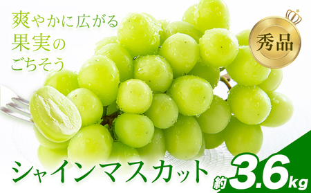 シャインマスカット 秀品 約3.6㎏(4～10房) 日本フルーツ《6月下旬-8月末頃出荷》熊本県 荒尾市 ぶどう ブドウ 果物 フルーツ スイーツ デザート ギフト ご贈答
