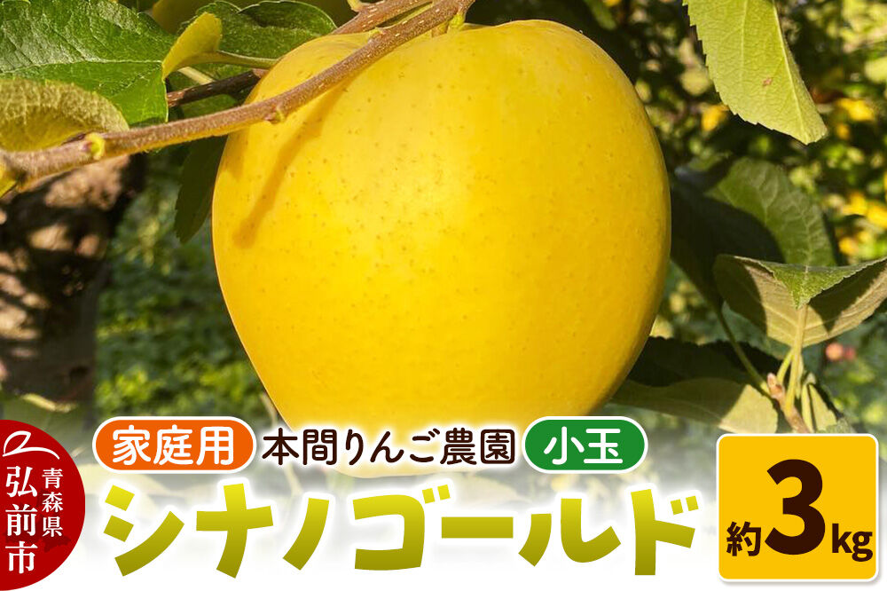【26年10月下旬～発送】りんご シナノゴールド【家庭用】約3kg 小玉 先行受付 青森県 弘前市 果物 フルーツ 林檎 リンゴ くだもの 不揃い 規格外 [先行予約 産地直送 アップル おいしい 果