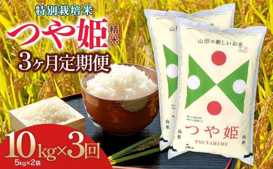 【令和7年産】【3ヶ月定期便】特別栽培米 つや姫 精米10kg（5kg×2袋）× 3回 計30kg 山形県 庄内産　米食味鑑定士お薦め　| つやひめ 10キロ 定期便 米 お米 コメ 精米 白米 食品