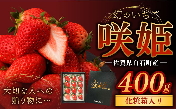 
            【R8年1月以降発送】【際立つ甘さ！】幻のいちご『咲姫』（化粧箱入り400g）【中村いちご農園】 [ICB002]
          