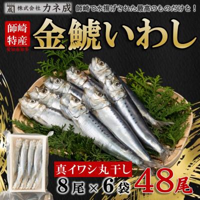 ふるさと納税 南知多町 いわし丸干し 48尾(8尾×6パック) 冷凍 小分け カネ成の金鯱いわし 干物