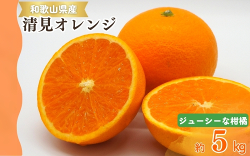 【予約】【ジューシー】清見オレンジ 5kg　※2026年3月下旬頃〜2026年4月中旬頃に順次発送予定（お届け日指定不可）