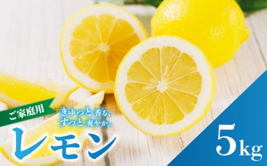 イエロー レモン 家庭用 5kg 【2027年2月上旬から発送】  防腐剤 ワックス 不使用｜ 訳あり レモン 檸檬 完熟 柑橘 酸味 国産 愛媛県産 訳あり 新鮮 愛媛 松山