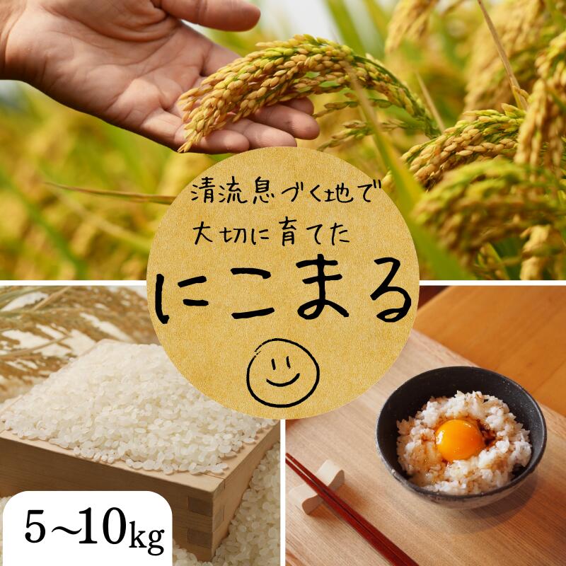 【ふるさと納税】令和7年度産 秘境の地からお届けする あゆみファームのお米 にこまる 5kg〜10kg【2025年10月下旬以降順次発送】/ 米 お米 にこまる 5kg 10kg 精米 和歌山