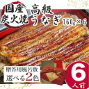 【ふるさと納税】＼レビューキャンペーン／小松園のうなぎ蒲焼　ふろしき付（160g×6） | うなぎ 鰻 ウナギ 960グラム 国産 かば焼き 蒲焼き 蒲焼 うな重 ひつまぶし たれ 山椒 人気 おすすめ 取り寄せ お取り寄せ グルメ 惣菜 ギフト 贈答 贈り物 プレゼント お中元 _AT11