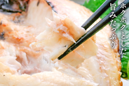 のどぐろ一夜干し 2尾 【5回定期便】【のどぐろ 干物 1尾あたり101～120g 2尾 のどぐろ干物 10枚 ノドグロ あかむつ アカムツ 新鮮 一夜干し 個包装 小分け 真空パック 冷凍 贈答 父