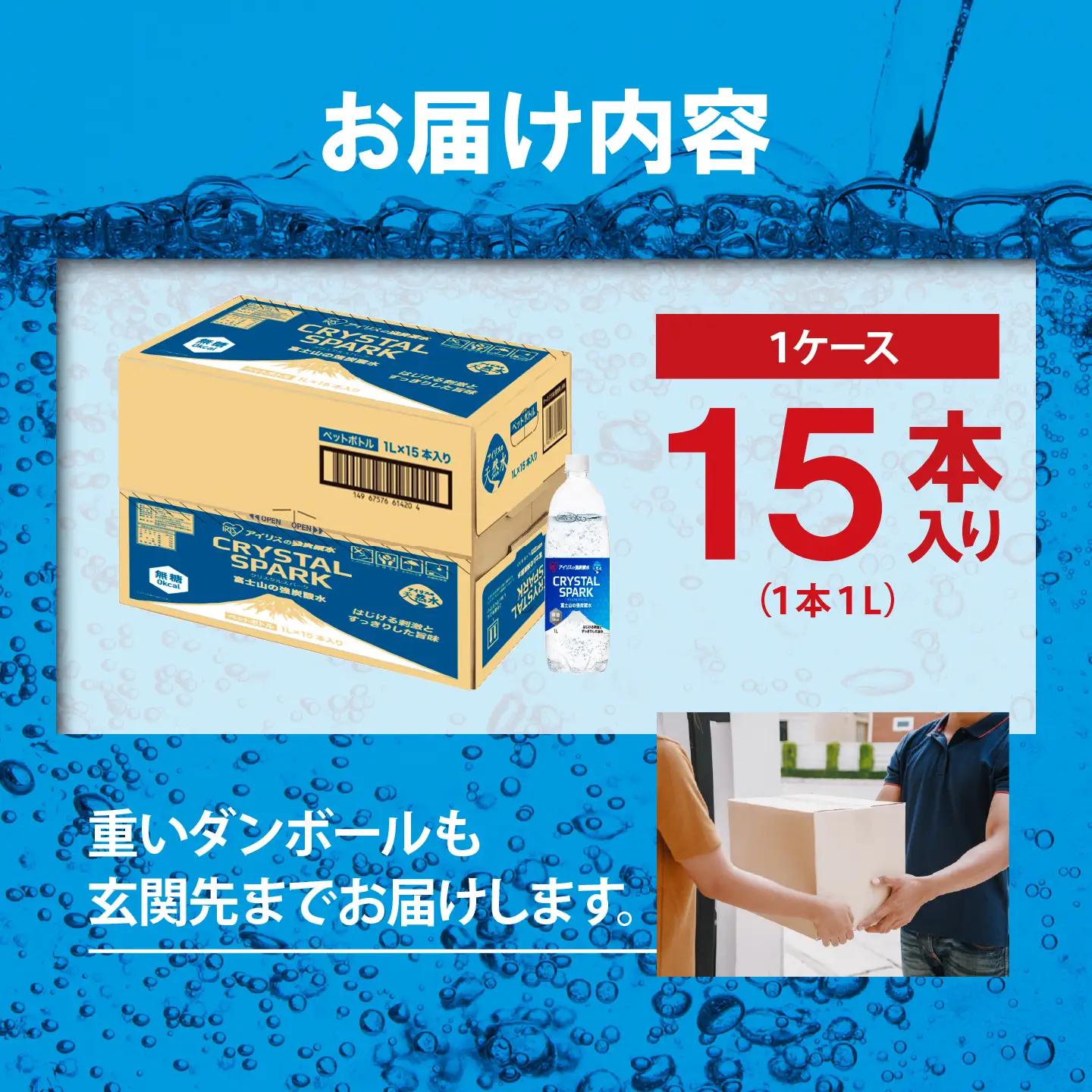 強炭酸水 12ヶ月定期便 1L×1箱 15本入 炭酸