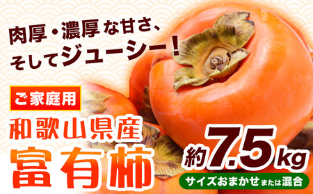 【先行予約】〈ご家庭用〉和歌山産 富有柿 約 7.5kg サイズおまかせまたは混合 厳選館 《2026年11月上旬-12月上旬頃出荷》 和歌山県 日高川町 柿 カキ かき ジューシー フルーツ