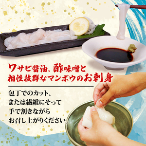 マンボウ正肉 600g 鮮魚 刺身 海鮮 魚 冷凍 生食可 フライ 煮物  お供  おつまみ 刺身