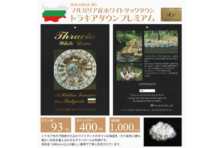 【春秋用】羽毛布団 シングル 合掛け 中厚  60番手サテン (レオーネ 青 柄 )｜