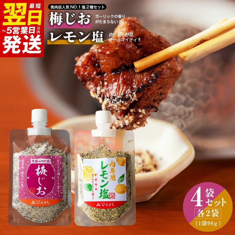 【ふるさと納税】焼き肉専門店 梅じお レモン塩 スパイスセット 90g × 4袋 お試し 焼肉 BBQ 相性抜群 10種類 スパイス ガーリック ハーブ 塩 隠し味 マスタード オリジナル 味付け カルパッチョ お取り寄せ 常温 最短 翌日発送 5営業日 大阪府 泉佐野市 送料無料