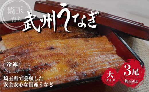 武州うなぎ 国産うなぎ蒲焼 3尾 大サイズ 冷凍真空パック（約450g）【埼玉県 東松山市 母の日 鰻 父の日ウナギ 大容量 誕生日プレゼント 鰻の蒲焼き 特選品 美味しいお取り寄せ 贈り物 グルメ 旬 おすすめ 国産 大きいサイズ 選べる 家庭用 ギフト 冷凍真空パック レンジ 御歳暮 お歳暮 贈り物 土用の丑 お祝い 】