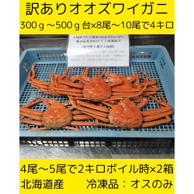 ふるさと納税 白老町 訳ありオオズワイガニ　8尾から10尾入で4kg　冷凍便