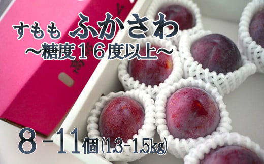【2026年発送分】【糖度16度以上！】すもも『ふかさわ』（8〜11個入り/約1.3〜1.5kg）スモモ すもも 李 プラム フルーツ 果物 くだもの 山梨 やまなし 富士川町