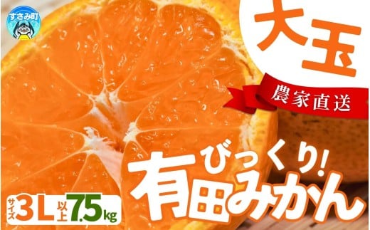 【農家直送】有田みかん  大玉3L以上 約7.5kg 有機質肥料100% ※2025年12月初旬～1月中旬に順次発送(お届け日指定不可) / みかん ミカン 温州みかん 柑橘 有田 和歌山 産地直送 【nuk158C】