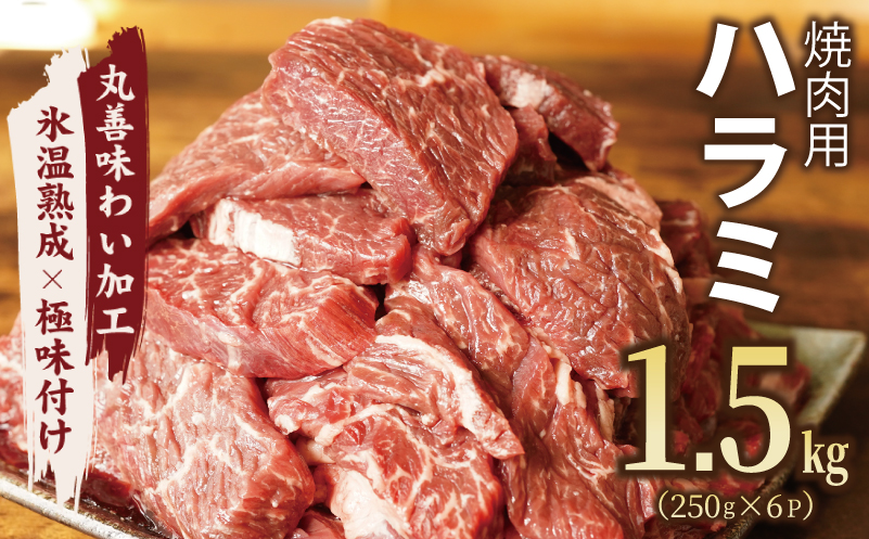 mrz0022 牛肉 ハラミ 1.5kg 小分け 250g×6P【氷温熟成×極味付け 牛肉 訳あり 不揃い 焼肉 BBQ 野菜炒め】