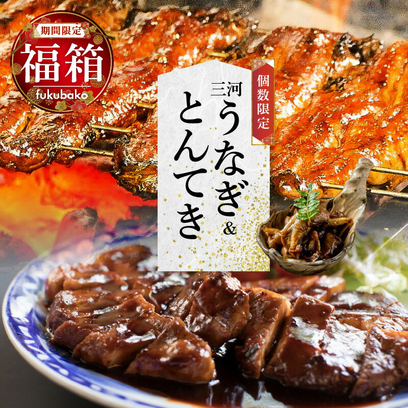 【ふるさと納税】【 福箱 ★ 2026 】期間限定 福箱 福袋 三河 うなぎ とんてき 肝焼き 創業100年 小伴天 イチオシ こだわり 秘伝のたれ 山椒 数量限定 セット 年内お届け可能 年末 年始 お祝い ギフト 冷凍 お取り寄せ お取り寄せグルメ 送料無料