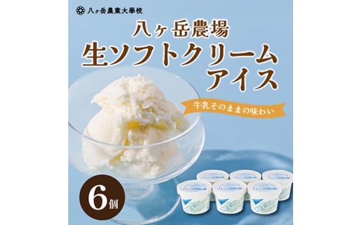 八ヶ岳農場 生ソフトクリームアイス 6個【1586194】