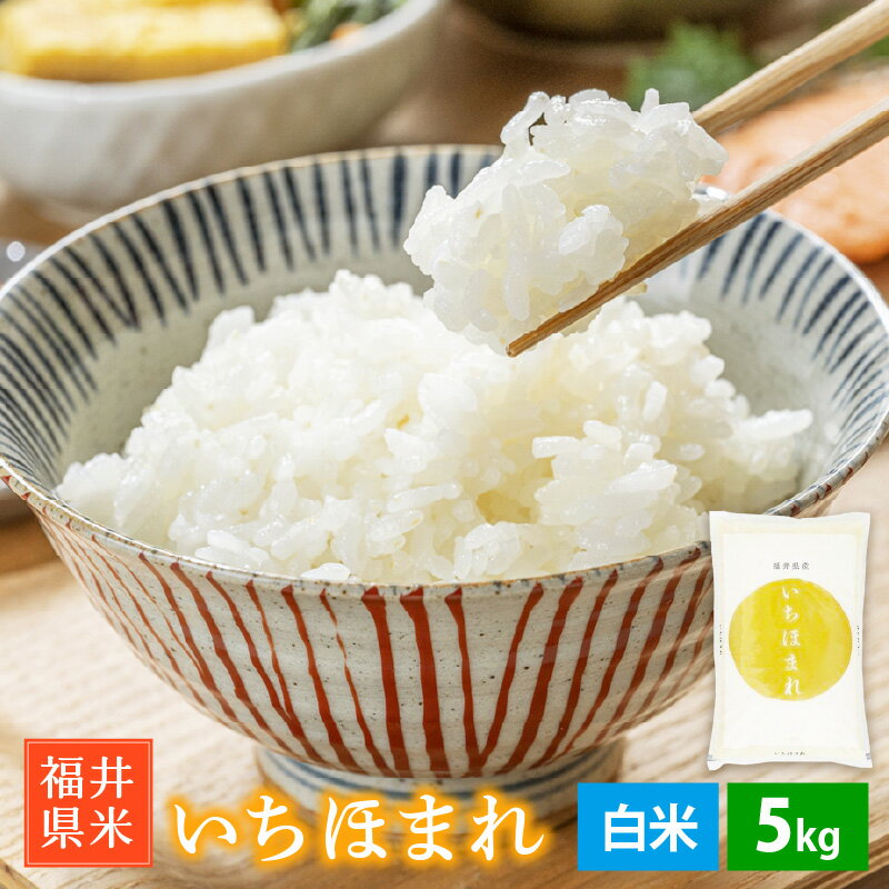 【ふるさと納税】 「福井県ブランド米」 特A通算6回獲得！ いちほまれ 5kg 令和6年 福井県産【白米】【 お米 5キロ 精米 人気品種 精米 】[e30-a085]