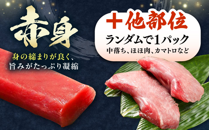 【12月中にお届け】対馬産 生 本マグロ 800g （赤身、中トロ、大トロ）《対馬市》　【対海】 中トロ 大トロ まぐろ マグロ 鮪 [WAH026-12]