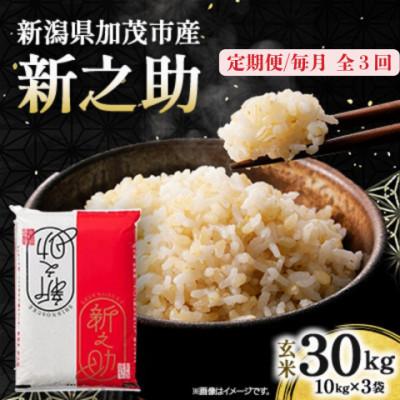 ふるさと納税 加茂市 【発送月固定定期便】新之助　玄米30kg　2026年10月上旬より順次発送全3回