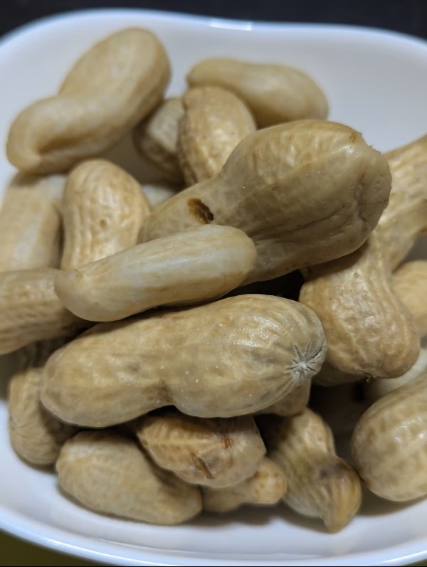
                  秦野の特産　選べる！生落花生　おおまさり　約500～4000g from 名水の里　秦野　
                