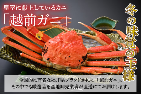 【先行予約/11月7日より順次発送】 「若狭小浜港産地直送」 越前がに (ズワイガニ) ボイル 1杯 / 蟹 かに カニ 小浜市 / 加福鮮魚【配送不可地域：北海道・沖縄・離島】 [BFBC004] 
