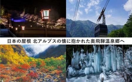 奥飛騨温泉郷宿泊割引券 60,000円分 宿泊券　温泉｜宿泊券 GB005