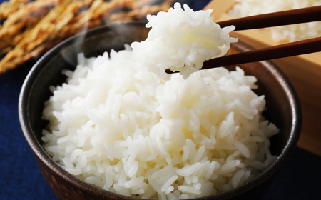 【先行予約/9月15日より順次配送】【令和8年産】コシヒカリ 10kg（5kg×2袋）/ 新米 白米 福井県 小浜市 / 市左ヱ門米屋 [BFEN001] 白米