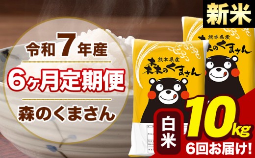 【6ヶ月定期便】令和7年産 新米 森のくまさん 白米 10kg 5kg×2袋 計6回お届け《お申込み翌月から出荷》お米 こめ 熊本県産 ご飯 備蓄
