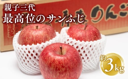 
                  1月発送 サンふじ 約3kg 青森県平川市産
                