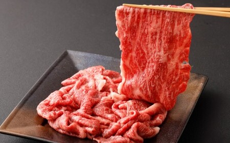 【A4・A5】 博多和牛 リッチな切り落とし 300g×2パック 計600g 和牛 牛肉 お肉 