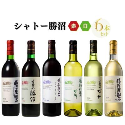 ふるさと納税 甲州市 シャトー勝沼が贈る厳選赤白6本セット