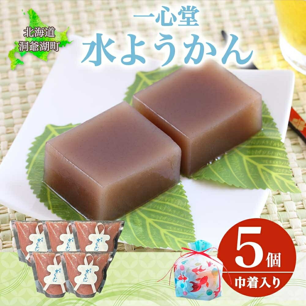 【ふるさと納税】水ようかん 5個 巾着入り 7月初旬よりお届け ようかん 和菓子 菓子 羊羹 北海道産 小豆 スイーツ 夏 おやつ お中元 お供え 贈答 お取り寄せ 送料無料 常温 一心堂 北海道 洞爺湖町　お届け：2026年7月初旬から2026年8月10日まで