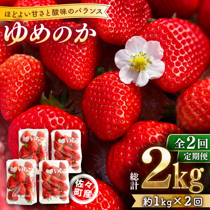 【ふるさと納税】【先行予約・全2回定期便】佐々町産 いちご 「ゆめのか」約1.0kg (250g×4パック)/回 （総量計2.0kg）【市丸農園 いちご研究室】 [QBF002] イチゴ 甘い フルーツ 果物 苺 パフェ ケーキ 長崎県産