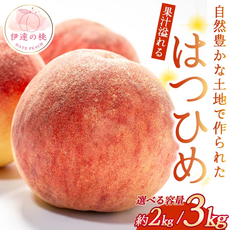 【ふるさと納税】＼選べる容量／【2026年出荷分先行予約】福島県産 はつひめ 約2kg 約3kg 玉数はおまかせ はこざきフルーツ 伊達の桃 桃 フルーツ 果物 もも モモ momo F21C-425var