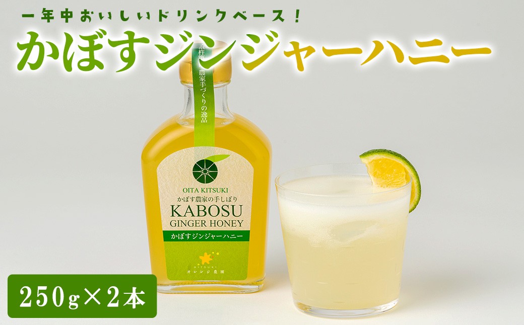 
                  オレンジ農園のかぼすジンジャーハニー (計500g・250g×2本) かぼす ジュース ドリンク ドリンクベース カボス ジンジャー ハニー 生姜 蜂蜜 常温 【opcf002】【株式会社きっとすき】
                