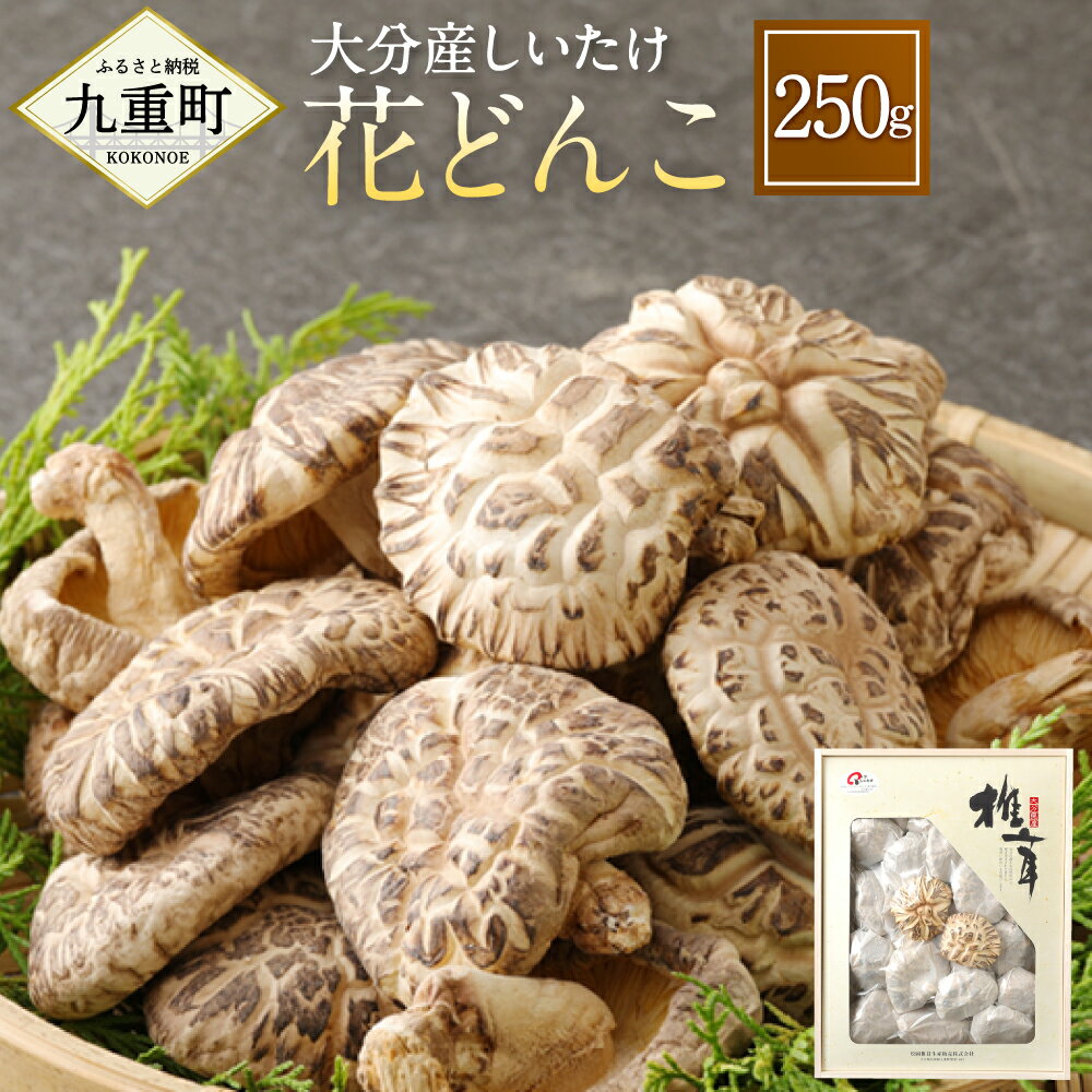 【ふるさと納税】大分産 しいたけ 花どんこ 250g 椎茸 きのこ キノコ 茸 春 国産 九州産 大分県産 送料無料