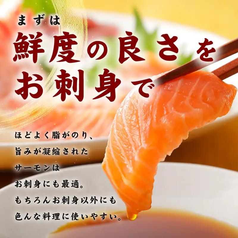サーモン 切り落とし 900g サーモン