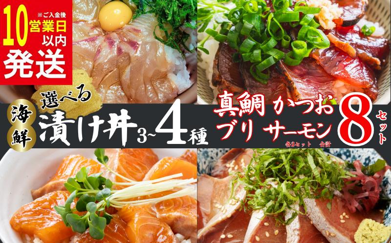 
            【10営業日以内発送】 種類 が 選べる 漬丼 厳選 3～4種 8食 セット 真鯛 カツオ ブリ サーモン 10000円 食べ比べ 漬け丼 づけ丼 海鮮丼 鯛 たい  かつお 鰹 鮭 冷凍 人気 魚介 海鮮 食べ比べ お手軽 加工品 簡単 晩ごはん 小分け パック 新鮮 鮮魚 養殖 国産 詰め合わせ ギフト プレゼント 本格  ふるさと納税 南予ビージョイ 愛南町 愛媛県
          