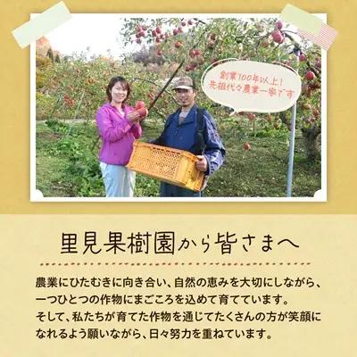 有機肥料栽培　葉とらずサンふじ　上山市産　５ｋｇ　１８～２５玉　秀品　0079-2625