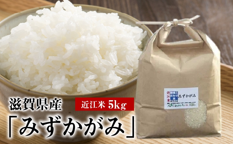 
令和６年産　近江米「みずかがみ」 5kg
