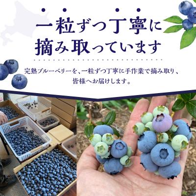 ふるさと納税 余市町 【先行受付】青果ブルーベリーおまかせ2品種食べ比べセット1kg_Y111-0008