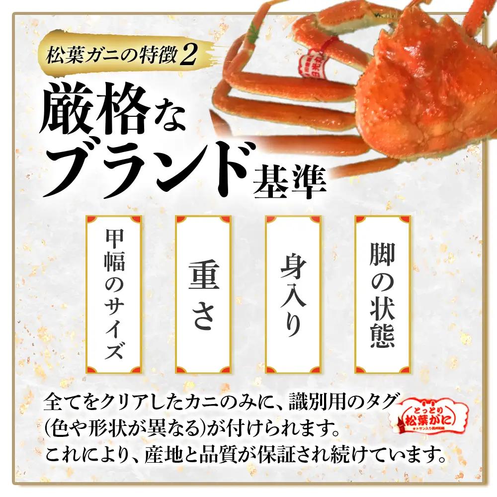 【先行予約】【魚倉】タグ付き ボイル 松葉ガニ （特大950g） かに 蟹 カニ