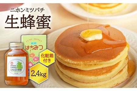 ニホンミツバチ 生蜂蜜 2,400g（化粧箱付き） [JCL005]  ハチミツ はちみつ
