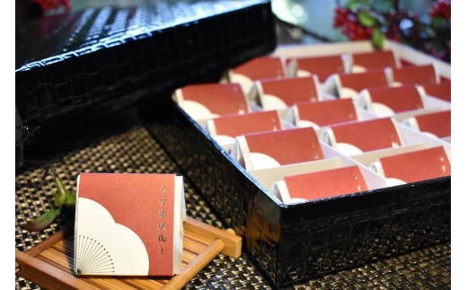 
                  【お歳暮・ギフト・熨斗対応可能】高級南高梅うす塩個包装20粒入 紀州塗箱 網代模様仕上 【SW81】
                