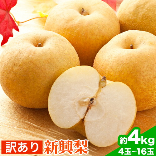 【2026年先行予約】訳あり 新興梨 約4kg (4～16玉) 高間商店《2026年10月上旬-11月下旬頃出荷》鳥取県 八頭町 梨 なし ナシ 果物 フルーツ 厳選 訳あり 送料無料 新興梨 甘い 果実 果汁 高間商店