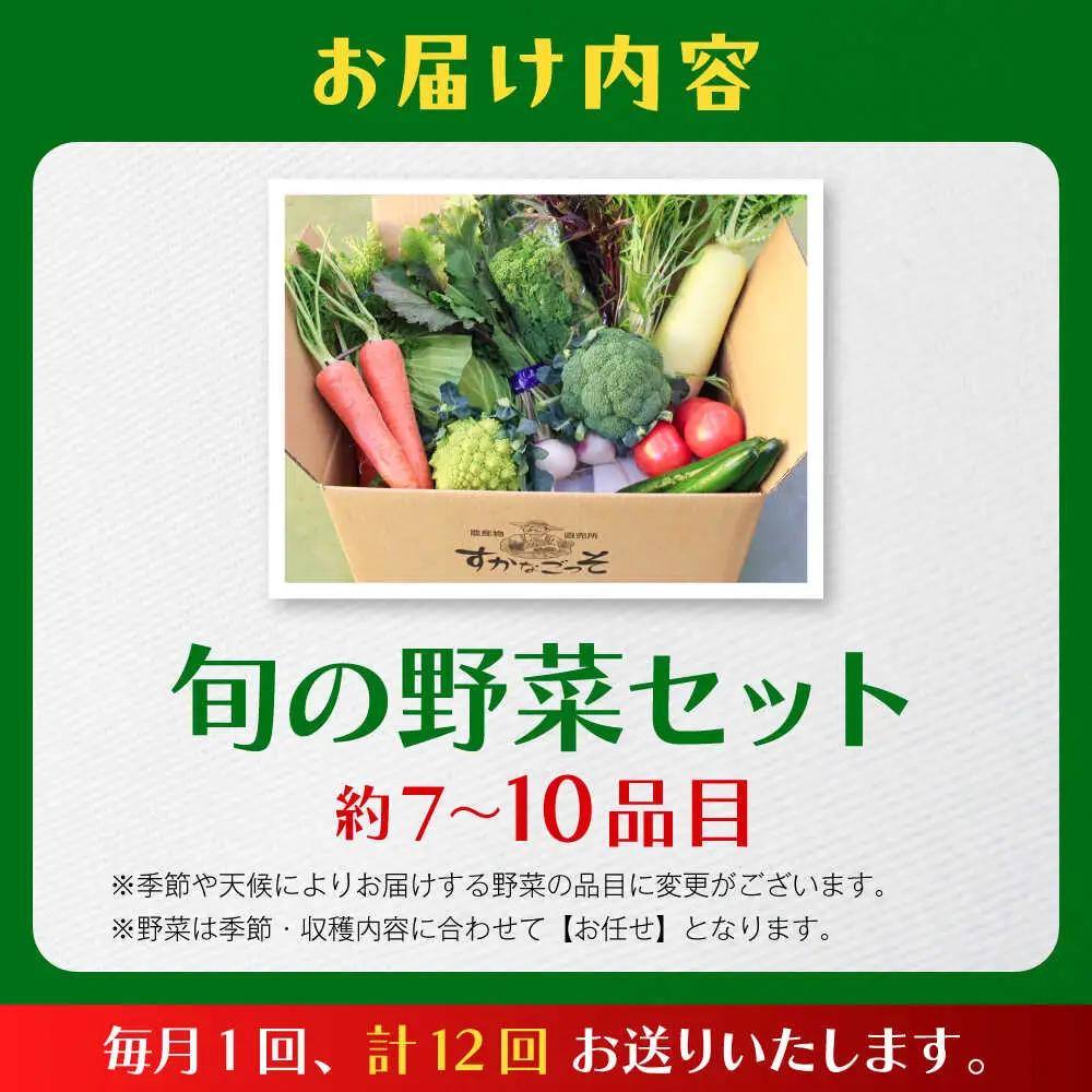 【全12回定期便】よこすか野菜セット すかなボックス／野菜 旬 セット  【JAよこすか葉山】[ASCB004]